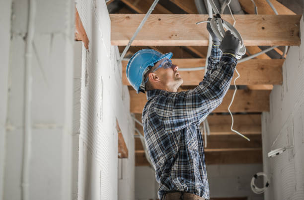 Best Licensed Electrician  in Farmland, IN