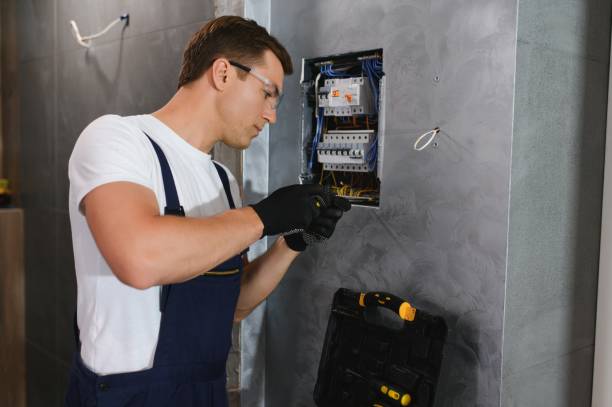 Best Generator Installation Services  in Farmland, IN